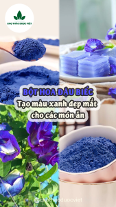 Bột hoa đậu biếc 500g (Mask dẻo mặt nạ dưỡng da tự nhiên) - Chợ Thảo Dược Việt
