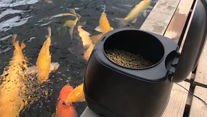 LONDA Automatic Pond Fish Feeder Timer Computer Controlled Feeding 10L Tank