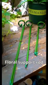 Gardening Flower Stand Phalaenopsis Stand Flower Fixed Stand Shape Support Rod Climbing Vine To Lodging