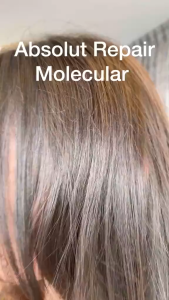 Dầu Gội phục hồi Peptides chuyên nghiệp cho tóc hư tổn LOréal Professionnel Absolut Repair Molecular 1500ml
