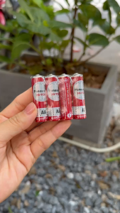 2 viên pin Panasonic AA