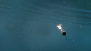 เหยื่อล่ออ่อน 7 กรัม เหยื่อล่อ 3 กรัม เหยื่อล่อ เหยื่อล่อขายส่ง เหยื่อไบโอนิคตกปลากลางแจ้งG2699