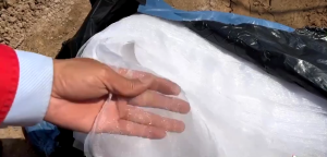 HP302ตาข่ายกันแมลง มุ้งเลี้ยงแมลง มุ้งขาว 32ตา มุ้งเลี้ยงแมลง มุ้งโรงเรือน สวนหลั่ง ตาข่ายกันแมลง40 มุ้งเลี้ยงตั๊กแตน