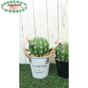 Tanaman Artificial Kaktus Mini Bunga Pink Variasi Pot Kaleng & Pot Dasar Hiasan Meja Tamu Aesthetic