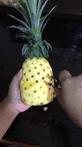 Dụng Cụ Khều Gắp Lấy Mắt Dứa Cắt Mắt Thơm Nhanh Gọn Bằng Thép Không Gỉ