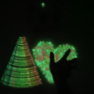 กระดาษพับดาว รุ่นใหม่ กระดาษบาง ดาวทรงสวย พับง่าย