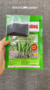 Hạt giống rau Cải mèo Hà Giang (Cải mèo Tây Bắc) - Gói 20gr - Tỉ lệ nảy mầm >90% - Trồng quanh năm