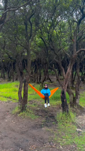 Dhaulagiri Hammock Single Nest: Desain Ergonomis untuk Camping & Outdoor