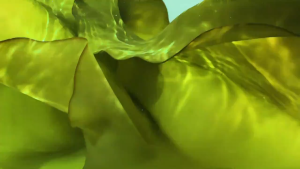 卫龙-风吃海带-劲爽香辣味 80克 网红辣味海带零食 酸辣过瘾 低热量 追剧必备 WEILONG DELICIOUS-Yummy Kelp 80G