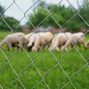 Galvanized Cyclone Wire Chain Link Fences Wire Mesh Thick Fence High Quality Commercial Chain Link Mesh Wire Fences