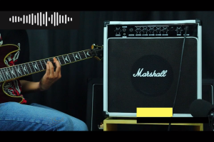 Ampli Gitar 8 Inch 3 Input Ada Efek Distorsi dan Efek Delay & Input Mic & Aux