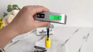 【✅SG stock】High Precision Portable Electronic Scales Portable Mini Household Hooks Precise Luggage Weighing Scales Fish Tools Express Delivery