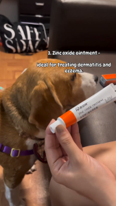 Puainta Pet Eczema Ointment for Dogs and Cats Anti Itch Skin Infection Treatment Fast Eczema Skin Repair Relieve Skin Redness & Itching 20g