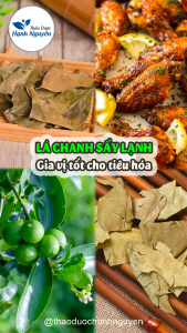 Lá chanh sấy khô 100g (Gia vị lẩu tháilá xông giải cảm xả chanh) - Thảo Dược Hạnh Nguyên