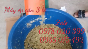 Máy ép cám viên s160