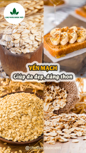 Yến mạch cán dẹt nguyên chất 500g ( Yến mạch cán mỏng hữu cơ dành cho người ăn kiêng) - Chợ Thảo Dược Việt