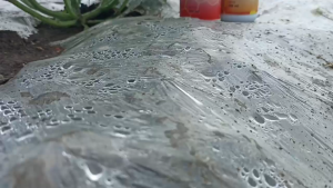 KAYAIN TUBBAN ORANGE - Pupuk Pembentuk Tunas & Buah Organik