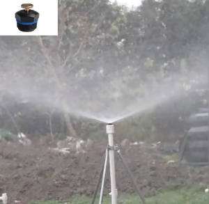 หัวสปริงเกอร์ ปรับน้ำได้ หัวสปริงเกอร์ใบบัว สปริงเกอร์ใบบัว หัวใบบัวจุกทองเหลือง