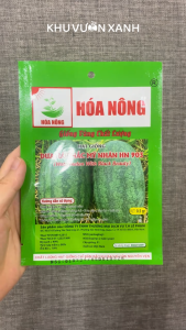 Hạt giống Dưa hấu Hắc Mỹ Nhân F1 - Gói 0.5gr trồng quanh năm