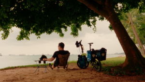 Birdy TouringPLUS | Shimano Sturmey-Archer/Sora 24-Speed | Performance Foldable Bike