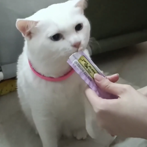 Fussie Cat Puree Treats 4x14g (Cat Treats)