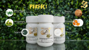 1 BOTTLE PERFECT PLUS GOLD / DREAMLIFE