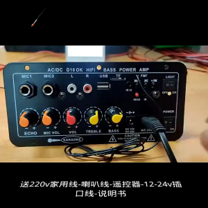 Bảng khuếch đại âm thanh-Bảng Mạch Khuếch Điện Kỹ Thuật Số Amp AC 220V 12V 24V Loa siêu trầm D10 + Bluetooth 5.0