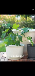 Imitation ceramic pot thickened resin plastic pot balcony creative succulent green pineapple potted large flower pot