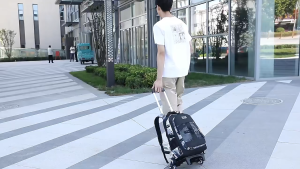 Student Rolling Backpacks for Primary School Children Trolley School Backpack Wheeled Bag Back To School Backpacks with Wheels