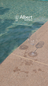 Pulltex Transparent 1 bottle Ice Bag (Wine Bag) 酒冰袋
