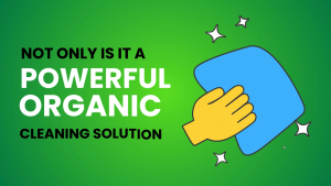 Organicstore - Organic Dishwashing Liquid - Plantex Organic Grease Away Dishwashing Liquid- Bundle of 3 (250 ml)