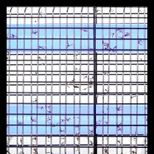 LED Sensor Lamp Mosquito: A Comprehensive Guide