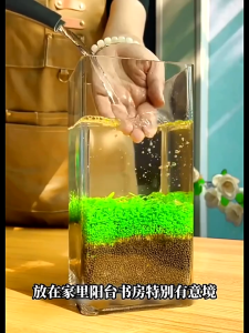 ไม้น้ำ เมล็ดไม้น้ำ ถุงใหญ่ 10 กรัม ขนวัวเล็ก ขนวัวใหญ่ โคลเวอร์ เลิฟกลาส หญ้าหัวใจ ขนแกะเล็กเลิฟมินิ