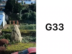 Tactical G33 3X Magnifier Red Dot with Switch to Side STS Quick Detachable Mount 3x Magnifier Scope Black for 20mm Mount