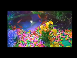Batu warna warni batu taiwan hiasan aquarium dan aquascape