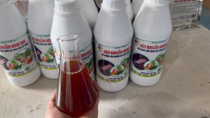 CHẾ PHẨM SINH HỌC - PSPEUDOMONAS: Phòng Trừ Bệnh Héo Xanh Nức Thân Xì Mủ Thối Rễ - Chai 1 Lít