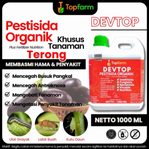 Obat Semprot Hama Tanaman Terong / Obat Hama Terong Ungu / Obat Hama Terong Bulat / Obat Pembasmi Hama Daun Terong/ Obat Untuk Hama Terong / Obat Hama Buah Terong / Obat Terong Layu