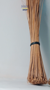 BROOM STICK / WALIS TINGTING / PC