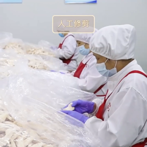 Freeze-Dried Chicken Breast Pet Dog Cat Snack Hair Chin Cat Food Chicken Breast Dried Whole Piece Chicken Breast