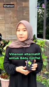 VINENON - Cuka Mengkudu Asli Untuk Bantu Hancurkan Batu Ginjal - 2 Botol