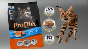 [Free 1x500g] ProDiet Dry Cat Food - 8kg x 2 Units