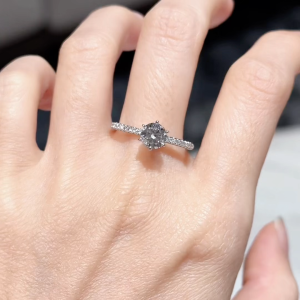 Lavin New York IGI Lab-Grown Diamond Six Prongs Pavé Engagement Ring in 750/18K White Gold - Gleam