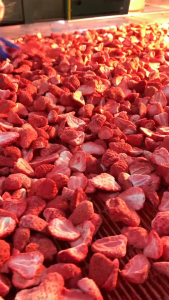 Ursnack สตอเบอรี่ฟรีซดราย เคลือบโยเกิร์ต ขนาด 22 กรัม - ผลไม้ฟรีซดราย