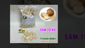 Sâm Tố Nữ 1Kg - Hàng Công Ty Loại 1