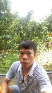 PHAO HỐ ĐẤU VĨ QUY TĂM PHAO  7 NẤC TĂM TRÒN TO RÕ RÀNG CHUYÊN CÂU THI ĐÁU  DÀNH CHO CÂU XA TỚI 40 MÉT CHẤT LIỆU NANO GIA CỐ CHẮC CHẮN HÀNG HÓT 2024