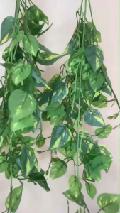 ช่อแขวนพลูด่าง พลูด่าง พลูด่างปลอม ช่อใบไม้ย้อย ใบพลูด่างย้อย ดอกไม้ปลอม ช่อไม้เลื้อย ตกแต่งบ้าน TS- 17678 (พร้อมส่ง)