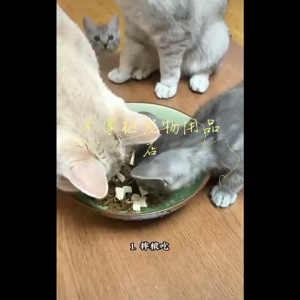 LUXURY PET Freeze Dried Chicken Cube Pet Snacks 500G / Booster Pet Snack