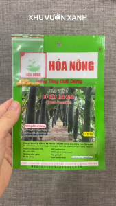 Hạt giống Bí Sặt trái dài (Bí đao xanh) - Gói 10 hạt - Trồng quanh năm