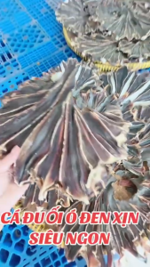 500GR Khô cá đuối - cá đuối đen ( cá ó )Hàng Khô Tươi Mới- ĐẶC SẢN MINH TRIẾT