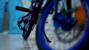 RION MAXIMO PIEGARE 16 INCH SEPEDA LIPAT BX8 / TX7 / EX9 3.0 / OIX10 8.0